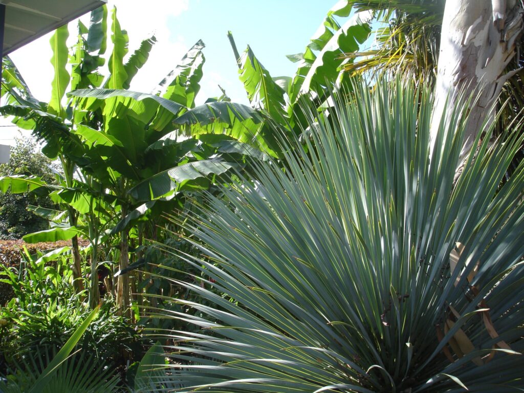 Exotentuin J-B Exotic Garden in Temse